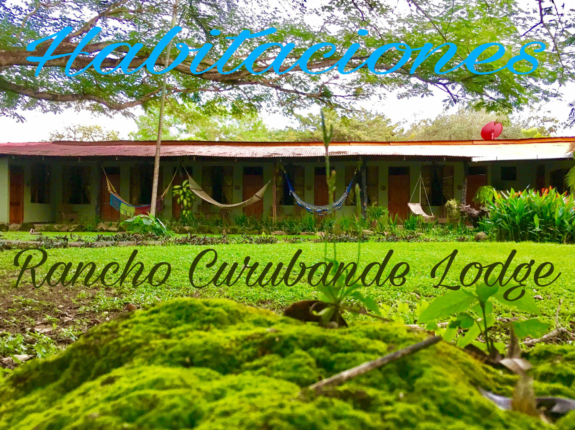 Rancho Curubande Lodge Liberia Exterior foto